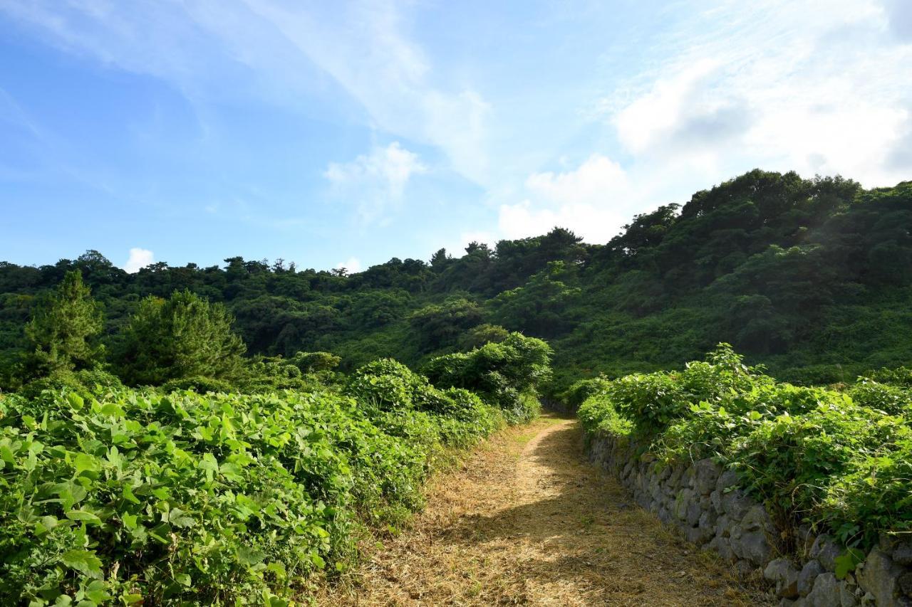 Hidden Cliff Hotel&Nature Seogwipo-stad Buitenkant foto